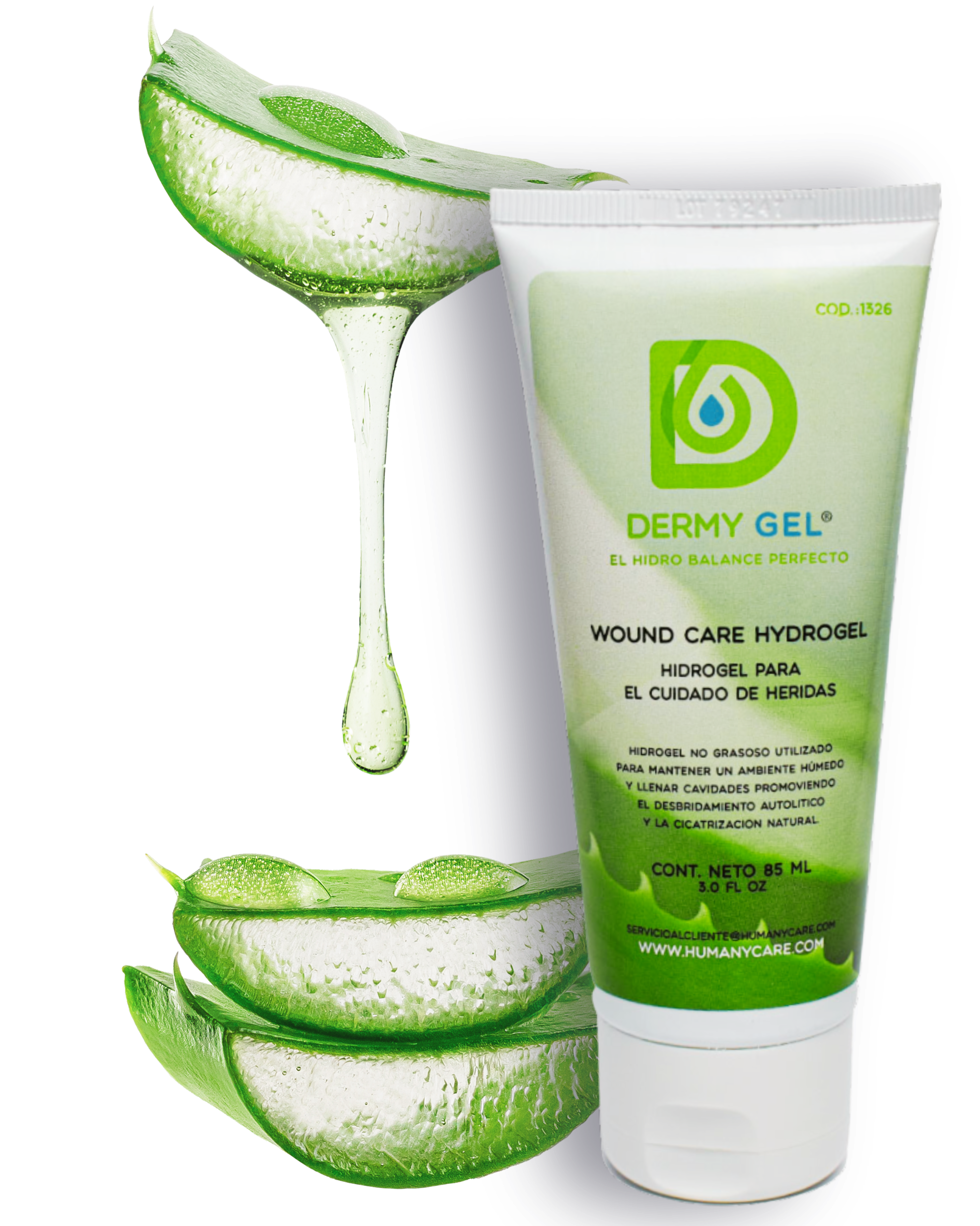 La imagen tiene un atributo ALT vacío; su nombre de archivo es HON-1-edited.png